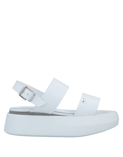 Shop Alberto Guardiani Woman Sandals White Size 10 Soft Leather