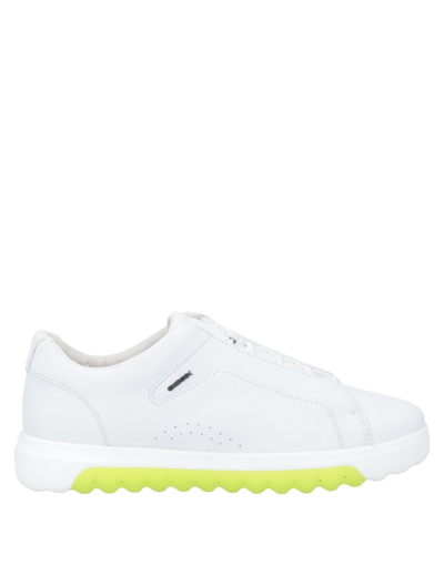 Shop Geox Woman Sneakers White Size 6 Soft Leather