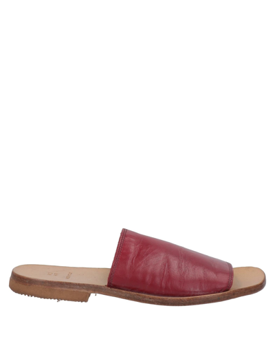 Shop Moma Woman Sandals Burgundy Size 7 Calfskin In Red