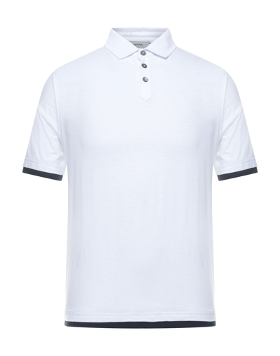 Shop Alpha Studio Polo Shirts In White