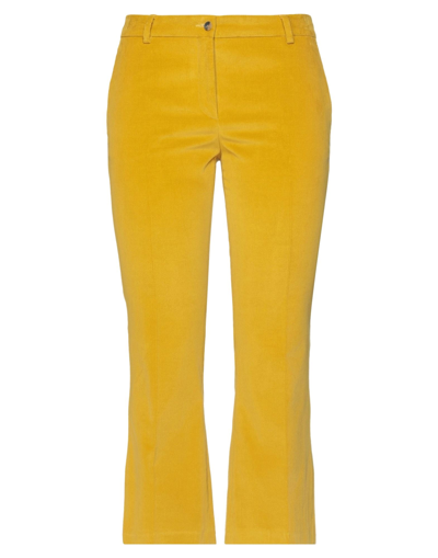 Shop Alberto Biani Woman Pants Ocher Size 10 Cotton, Elastane In Yellow