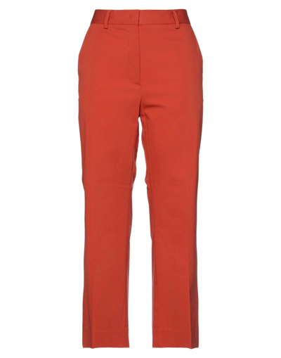 Shop Brag-wette Woman Pants Rust Size 8 Cotton, Elastane In Red