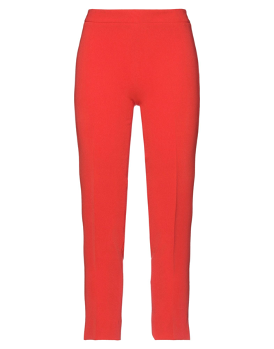 Shop Alberto Biani Woman Pants Coral Size 4 Triacetate, Polyester In Red