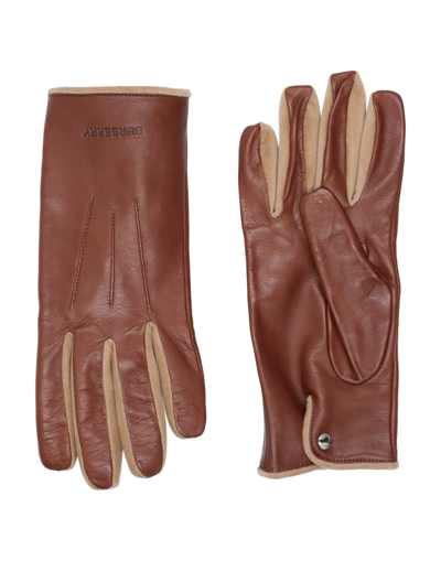 Shop Burberry Gloves In Brown