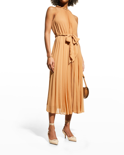 Shop Zimmermann Sunray Pleated Midi Dress In Biscuit