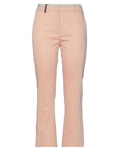 Shop Peserico Woman Pants Blush Size 6 Cotton, Elastane, Silk In Pink