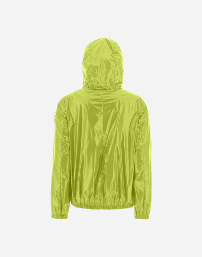 Shop Herno Gloss Cape In Green