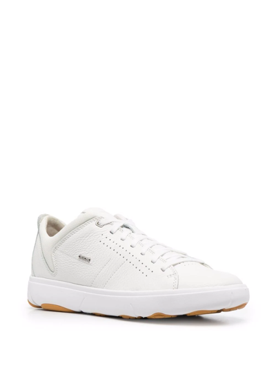 Geox Nebula Low-top Sneakers In White