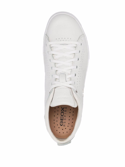 Geox Nebula Low-top Sneakers In White