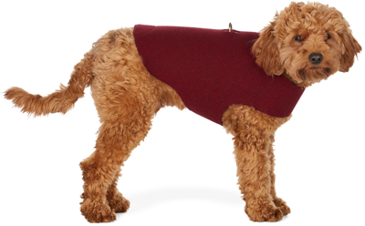 Shop Fantastical Creatures Club Red Wrap Up Jacket Harness In Bordeaux
