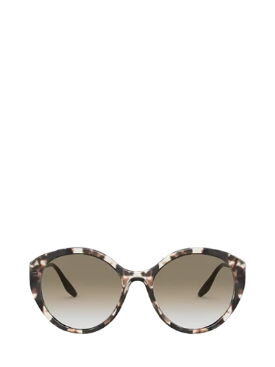 Shop Prada Pr 18xs Ivory Havana Sunglasses