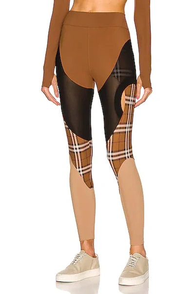 Shop Burberry Kayla Check Legging In Dark Birch Brown Ip