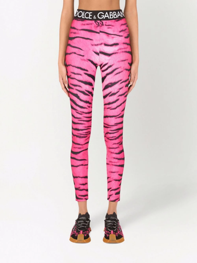 Shop Dolce & Gabbana Cropped Zebra-pint Leggings In Rosa