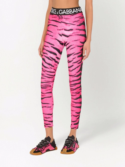 Shop Dolce & Gabbana Cropped Zebra-pint Leggings In Rosa