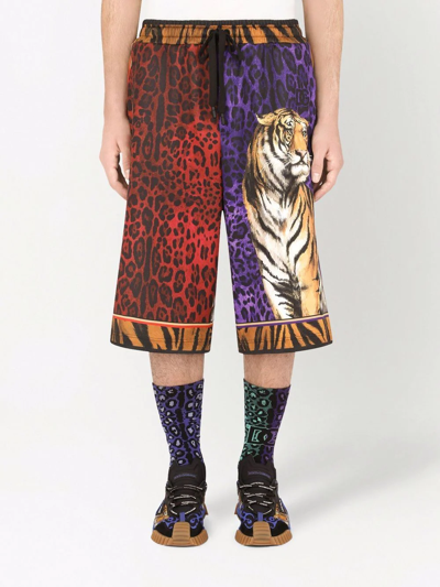 Shop Dolce & Gabbana Drawstring Tiger-print Shorts In Braun
