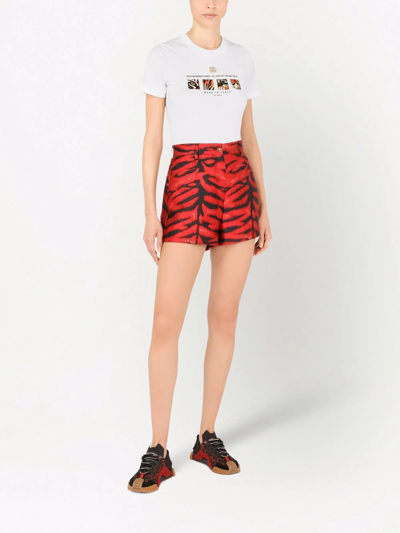 Shop Dolce & Gabbana Tiger Logo-print T-shirt In Weiss