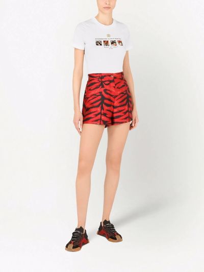 Dolce & Gabbana Tiger Logo-print T-shirt In Weiss