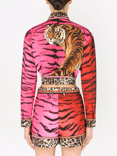 Shop Dolce & Gabbana Two-tone Zebra-print Cropped Shirt In Rosa
