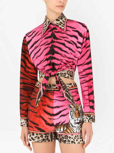 Shop Dolce & Gabbana Two-tone Zebra-print Cropped Shirt In Rosa