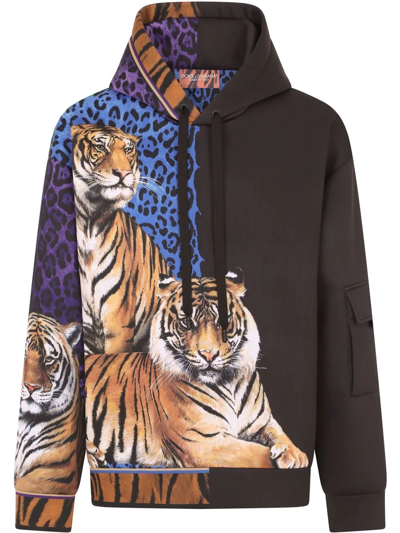 Shop Dolce & Gabbana Tiger-print Hoodie In Schwarz
