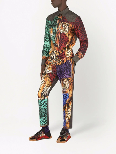 Shop Dolce & Gabbana Tiger-print Trousers In Mehrfarbig