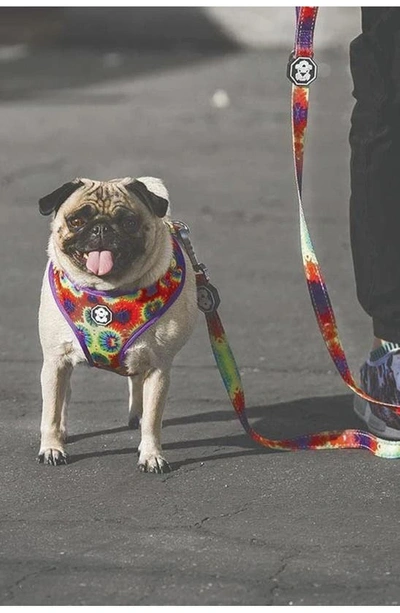 Shop Fresh Pawz Tie Dye Leash In Multi