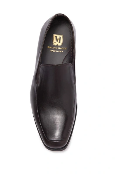 Shop Bruno Magli Pitto Leather Loafer In Dk Brown Leather