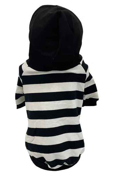 Shop Dogs Of Glamour Bradley Yellow Striped Hoodie In Black/ White