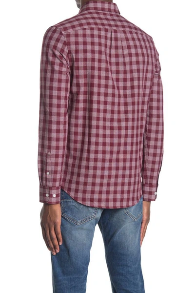 Shop Original Penguin Gingham Woven Button-down Shirt In 608 Tawny Port