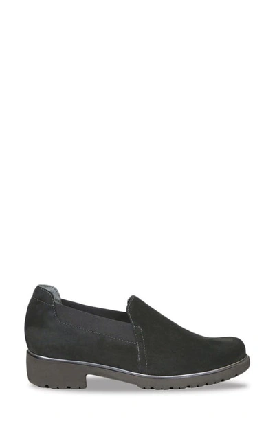 Shop Munro Becca Loafer In Black Suede/ Black Fabric