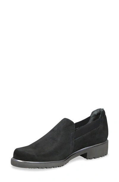 Shop Munro Becca Loafer In Black Suede/ Black Fabric