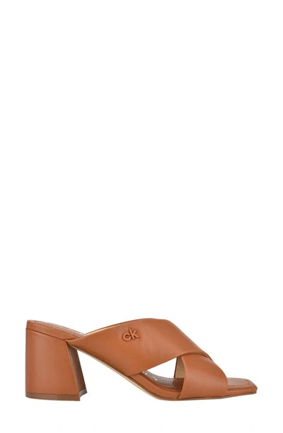 Shop Calvin Klein Isha Slide Sandal In Brown Leather