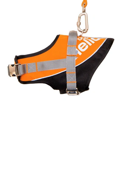 Shop Petkit Medium Orange Helios Bark-mudder Easy Tension Reflective Endurance 2-in-1 Adjustable Dog Leash & Har