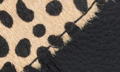 Shop Aimee Kestenberg Ashley Leather Pouch In Baby Cheetah Haircalf