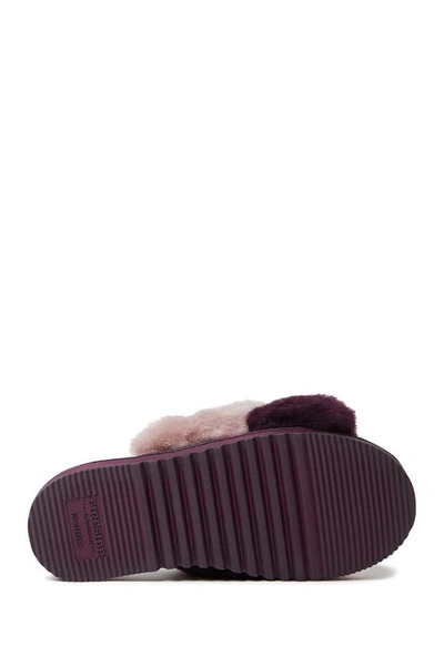 Shop Fireside By Dearfoams New Castle Crossover Genuine Shearling Slipper In Aubergine Purple