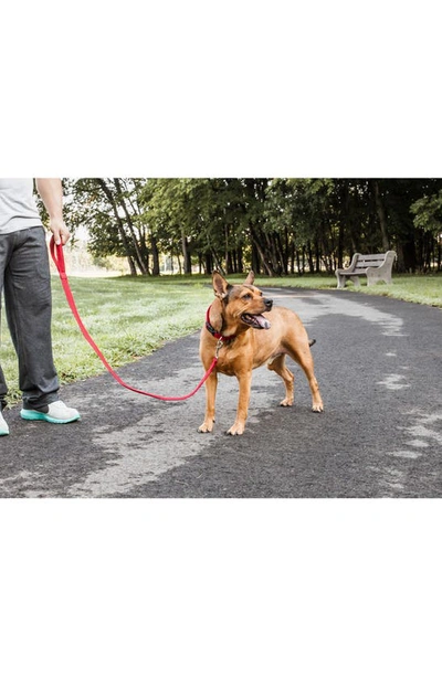 Shop Pet Life Aero Mesh 2-in-1 Dual Sided Comfortable And Breathable Adjustable Mesh Dog Leash And Collar In Red
