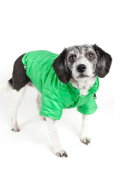 Shop Petkit Large Green Sporty Avalanche Dog Coat