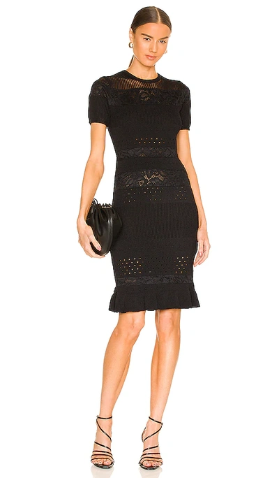 Shop Milly Lace Pointelle Dress In Black