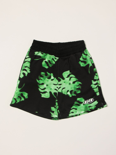 Shop Msgm Jogging Shorts With Leaf Print In Green