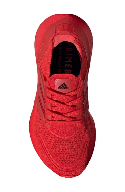 Shop Adidas Originals Ultraboost 21 Primeblue Running Shoe In Vivid Red/ Vivid Red/ Black