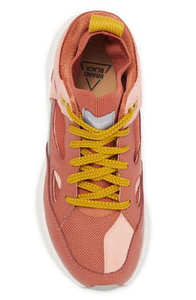 Shop Brandblack Aura Sneaker In Coral/pink/grey