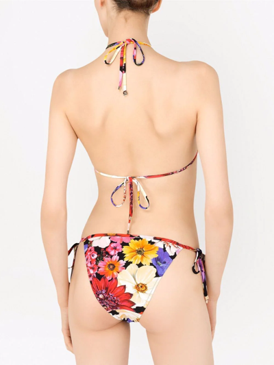 Shop Dolce & Gabbana Floral-print Triangle Bikini In White