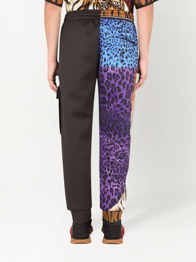 Dolce & Gabbana Black Blue Leopard Print Trouser Jogger Pants In Brown