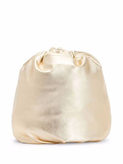 Shop Giuseppe Zanotti Izar Leather Bucket Bag In Gold