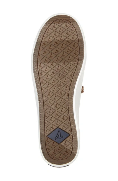 Sperry Pier Wave Ltt Canvas Slip-on Sneaker In Navy  Canvas