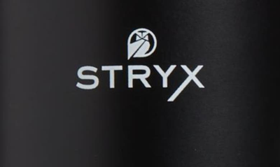 Stryx No. 02 Tinted Moisturizer In Dark Eclipse