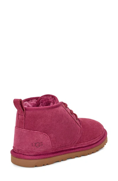 Shop Ugg Neumel Boot In Bougainvillea