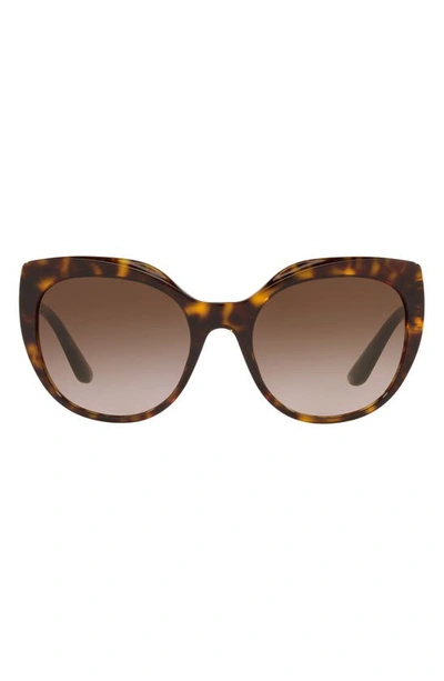 Shop Dolce & Gabbana 56mm Cat Eye Gradient Sunglasses In Havana
