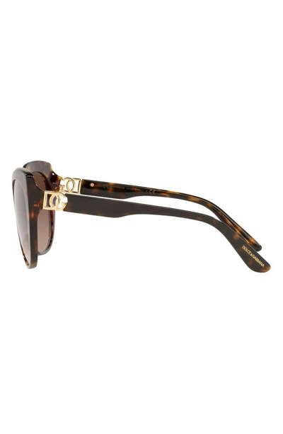 Shop Dolce & Gabbana 56mm Cat Eye Gradient Sunglasses In Havana