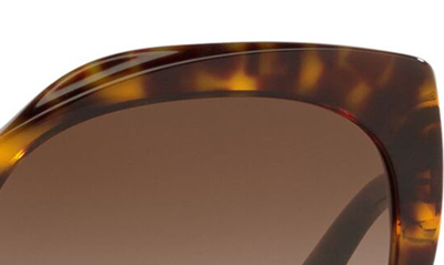 Shop Dolce & Gabbana 56mm Cat Eye Gradient Sunglasses In Havana